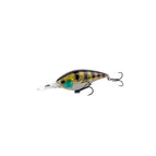 Perch