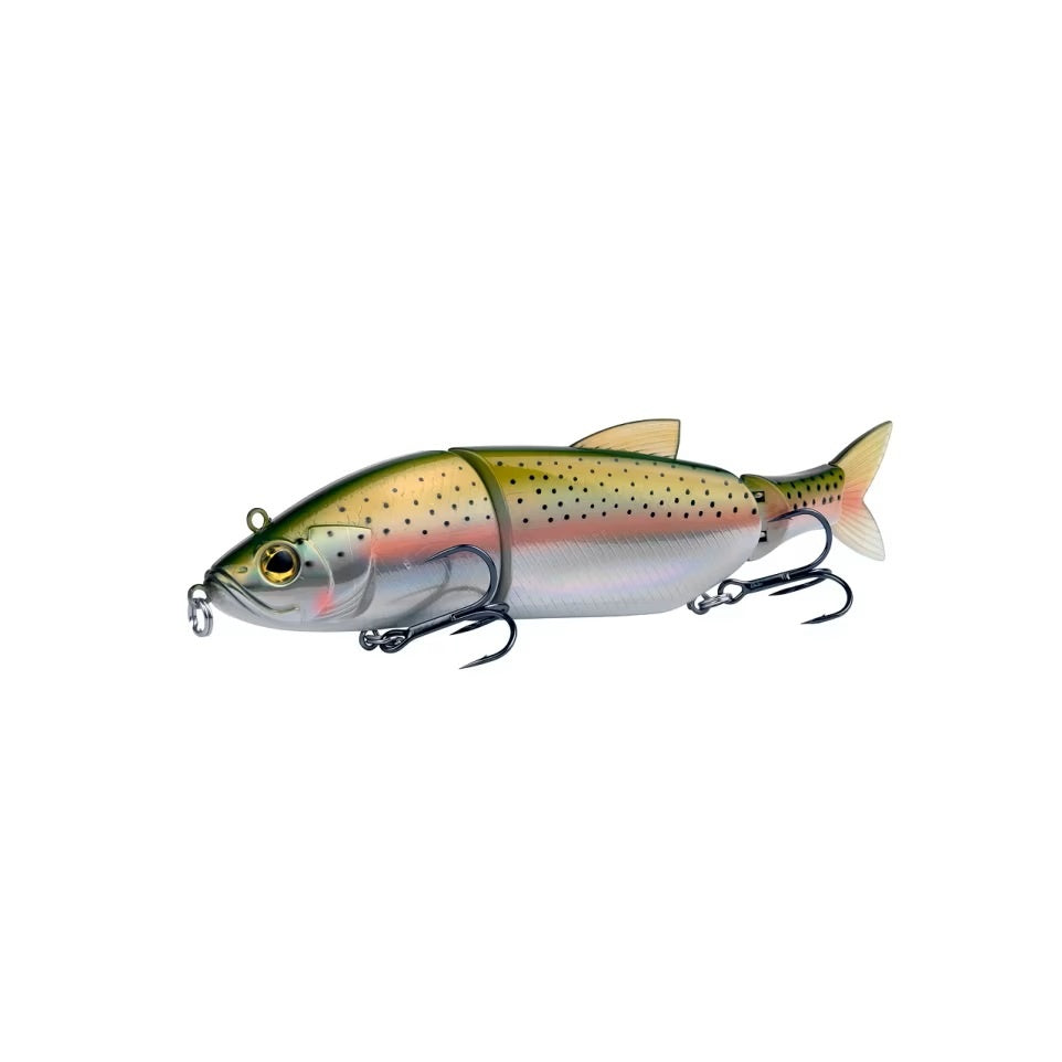 Rainbow Trout