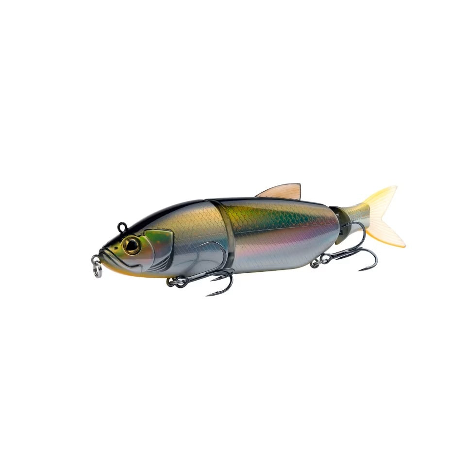 Brook Trout