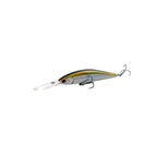 Brook Trout