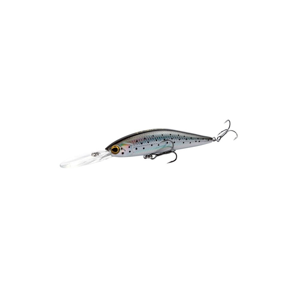 Sea Trout