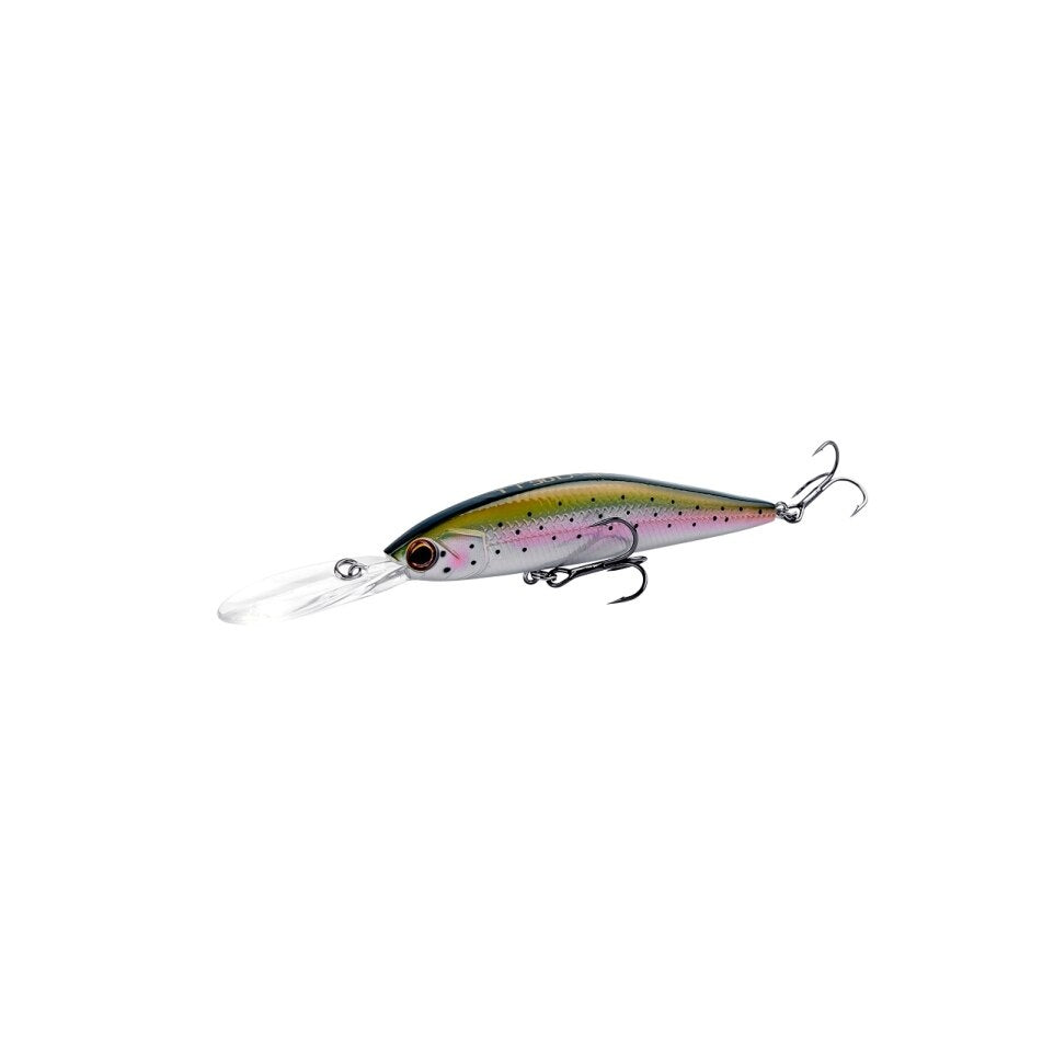 Rainbow Trout