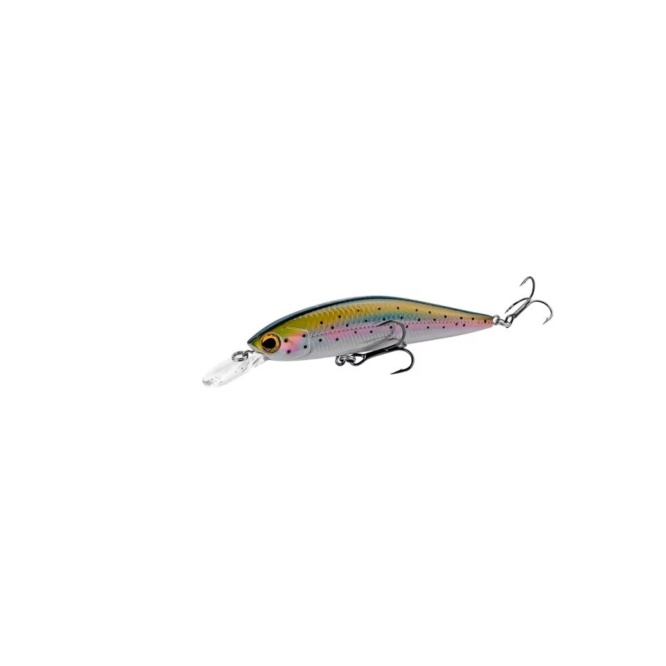 Rainbow Trout