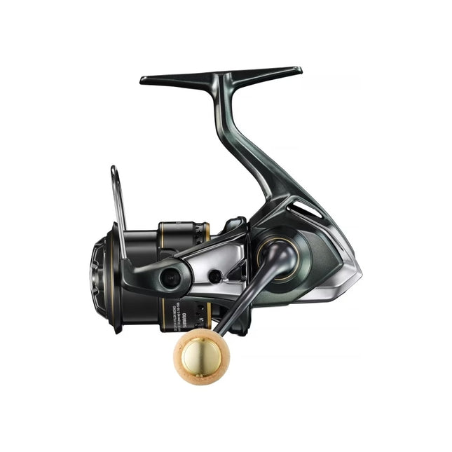 Shimano Molen Cardiff XR