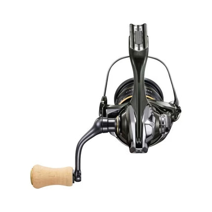 Shimano Molen Cardiff XR