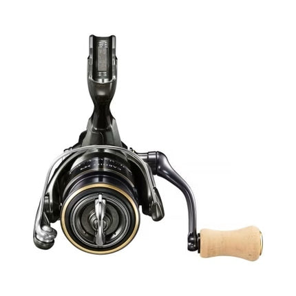 Shimano Molen Cardiff XR