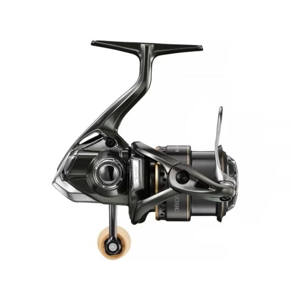 Shimano Molen Cardiff XR