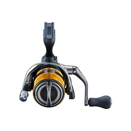 Shimano Molen Sahara FJ