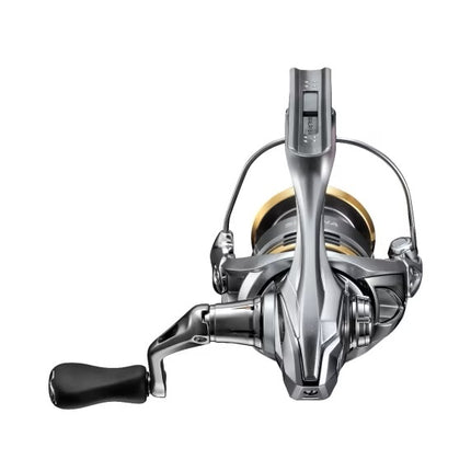 Shimano Molen Sedona FJ