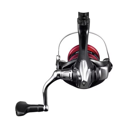 Shimano Molen Sienna 1000 FG