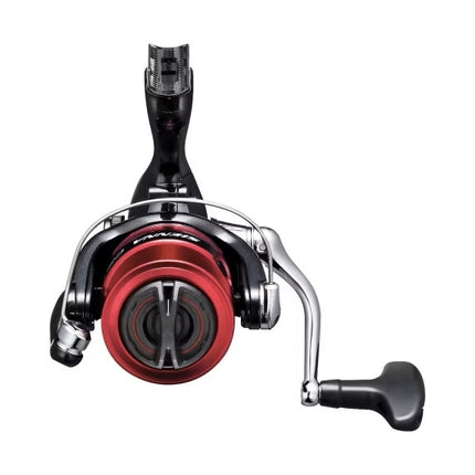 Shimano Molen Sienna 1000 FG