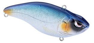 BLUE SHINER
