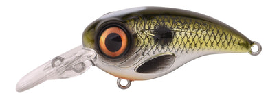 Shad