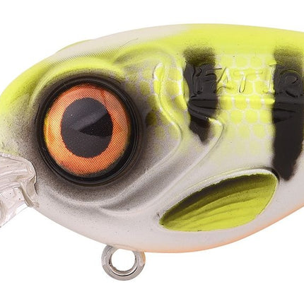 Spro Fat Iris 50 Crank 5cm