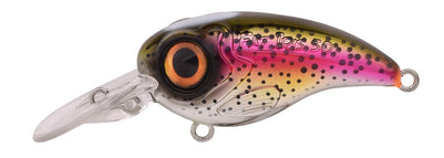 Rainbow Trout