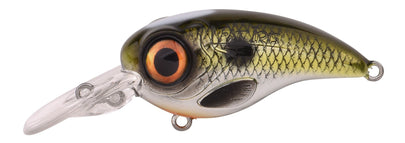 SHAD 6CM 18G