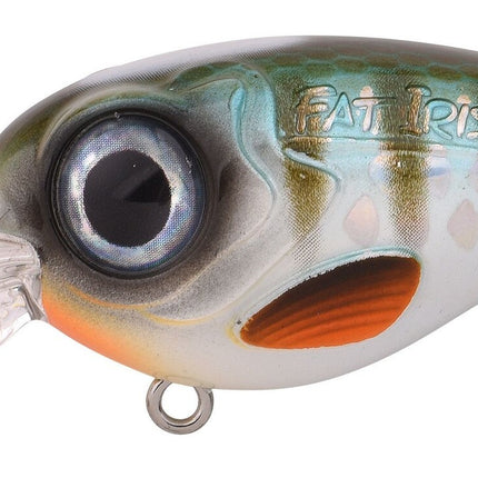 Spro Fat Iris 60CR Hardlure 6CM 18G