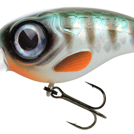 Spro Fat Iris DR Hardlure 4CM 6,2G