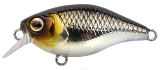 Pompano