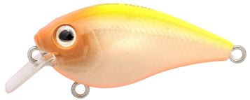 Chartreuse Back