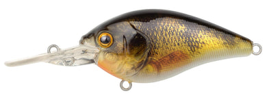 Perch