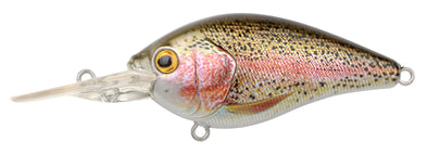 Rainbow Trout