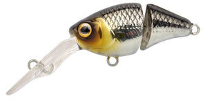 Pompano
