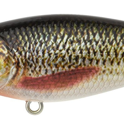 Spro Ikiru Shad 70SL 7cm