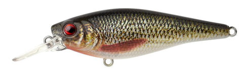Roach SL
