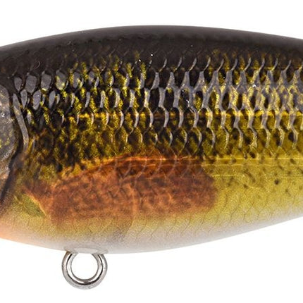 Spro Ikiru Shad 70SL 7cm