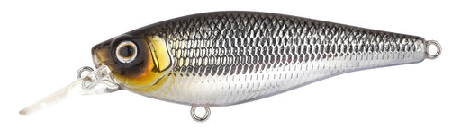 Pompano SL