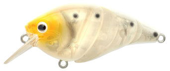 Shirazu
