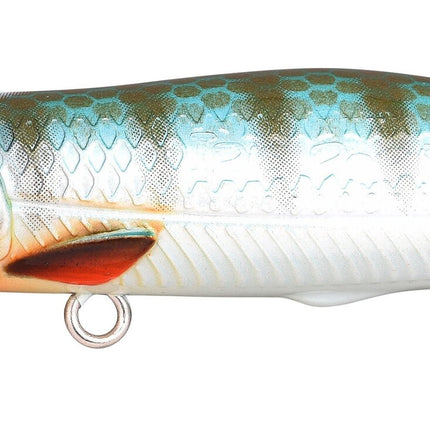 Spro Iris Pop Hardlure 5,5CM 4,8G