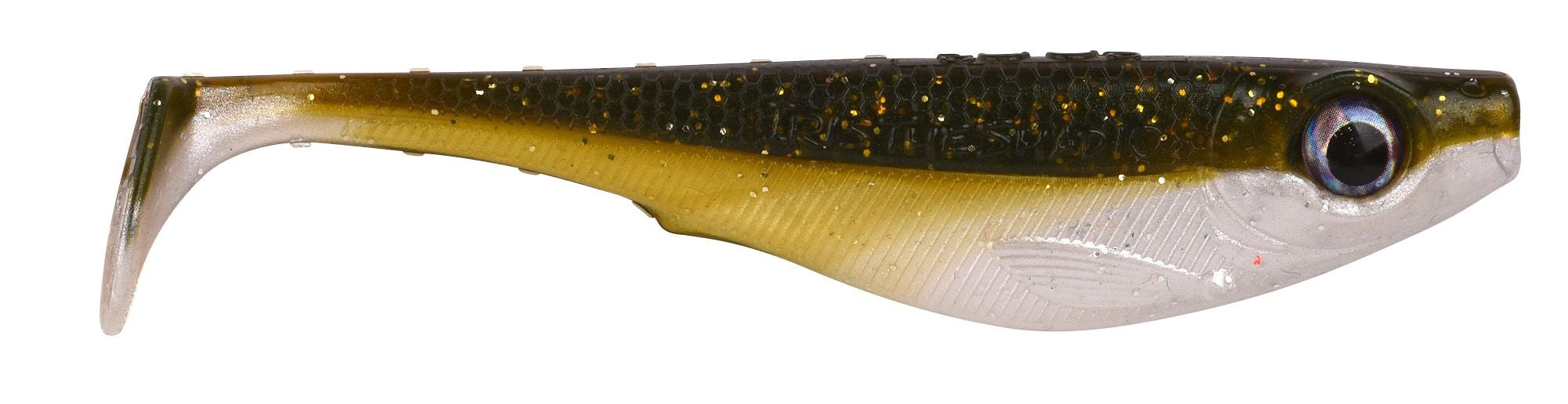 BAITFISH