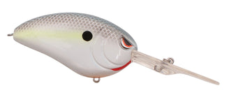 NASTY SHAD