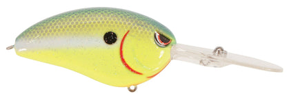 CHARTREUSE NAVY