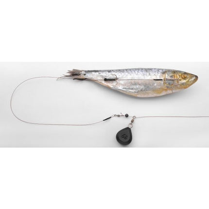 Spro RTG Deadbait Bottom Rig #4