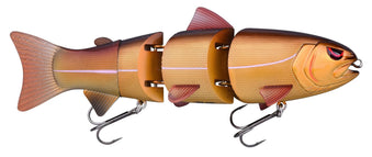 UV RUDD 6''