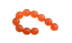 Salmon Egg