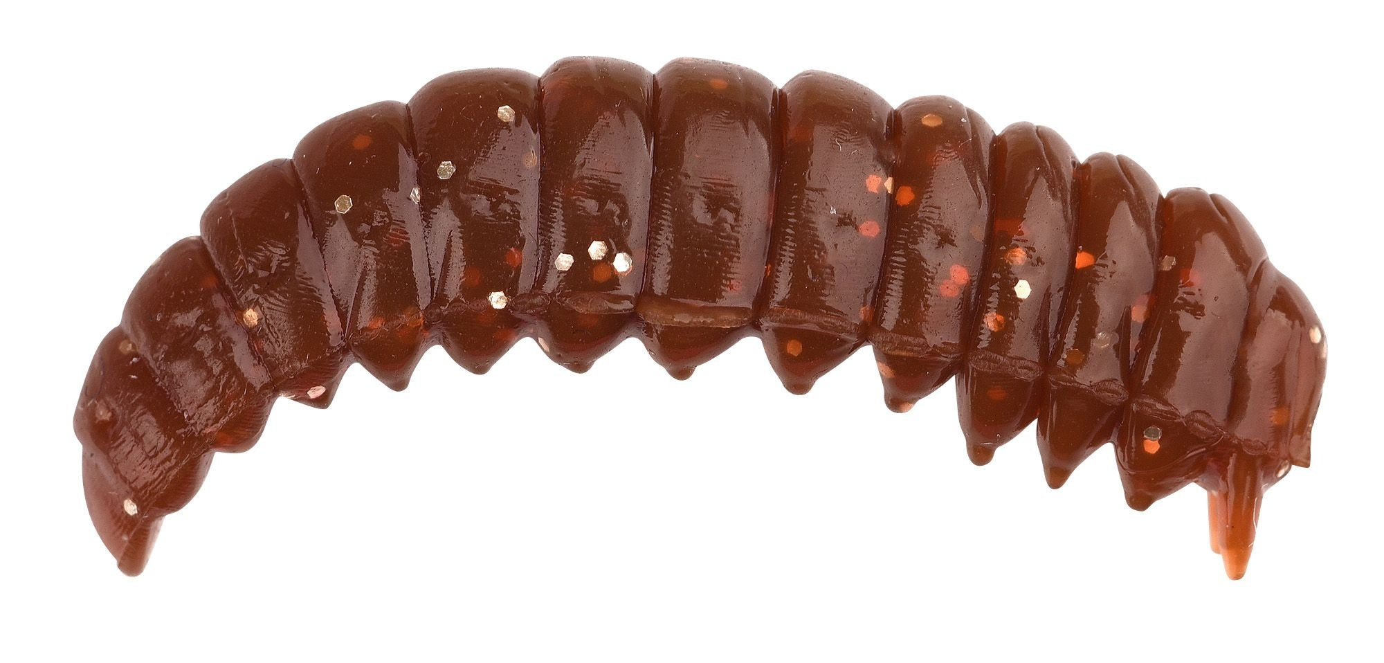 WORM