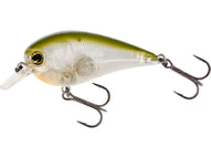 CLEAR OLIVE 2 3/4