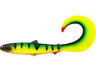TIGER PERCH  10 5/8