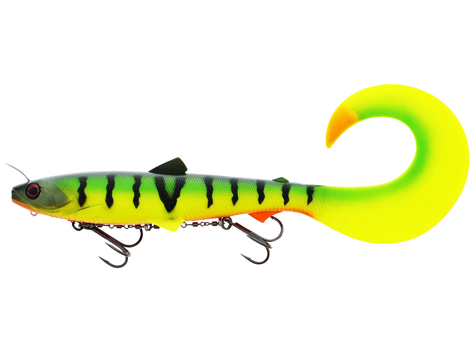 TIGER PERCH 1PC