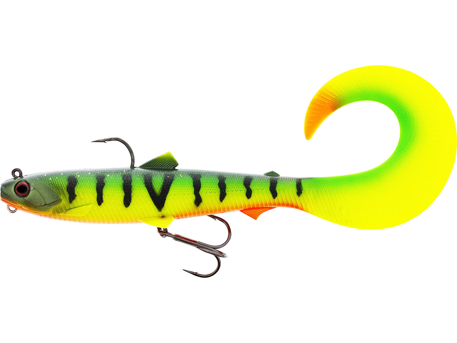 TIGER PERCH 1PC