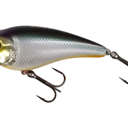 Westin Fatbite Crankbait 8CM 24G Floating 3" 7/8OZ
