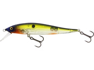 HOT SHAD 4 1/4