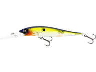 HOT SHAD