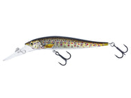 BROOK TROUT FRY