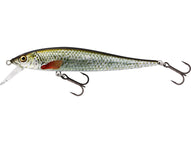 REAL ROACH 5 1/4
