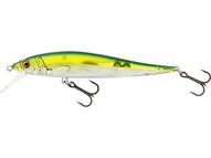 OLIVE MINNOW